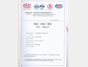 檢驗(yàn)報(bào)告